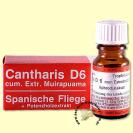 CANTHARIS D6 CANTHARIS D6