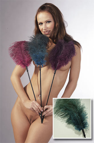 Fetish Collection feather Fetish Collection feather
