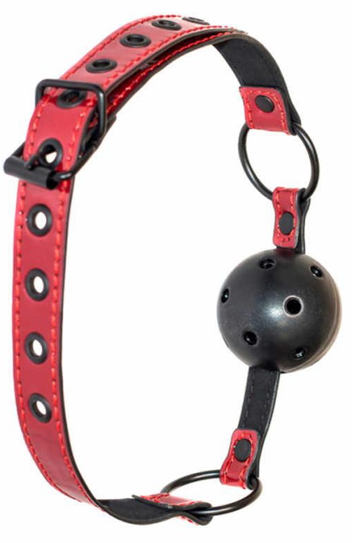 Ball Gag Party Hard Love Bite