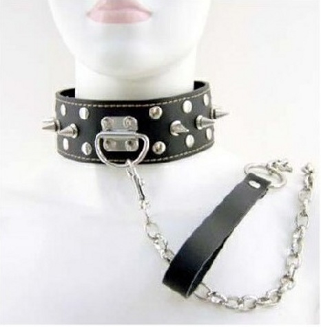Leather Collar with leash