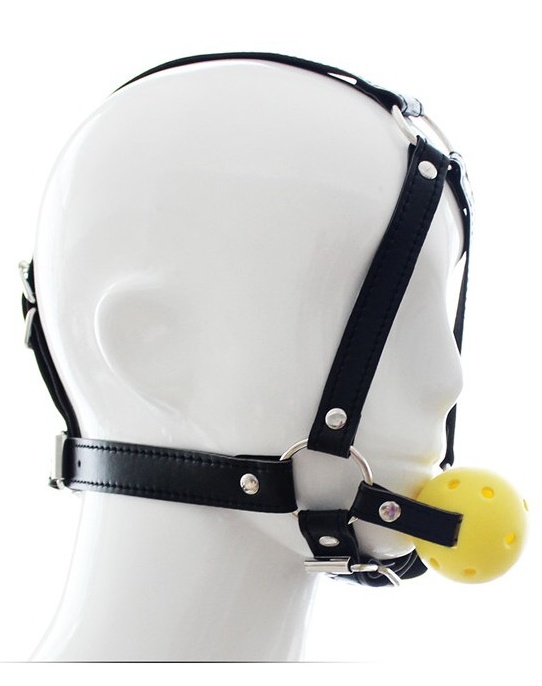 Ball Gag Harness