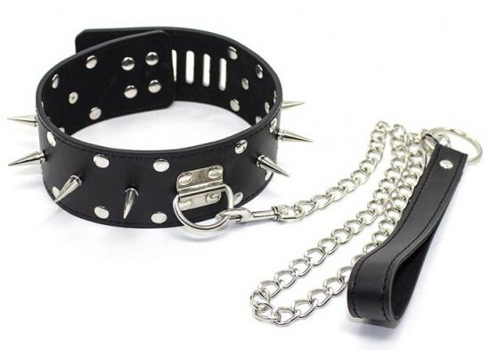 Leather Collar with leash