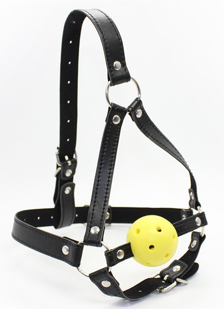 Ball Gag Harness