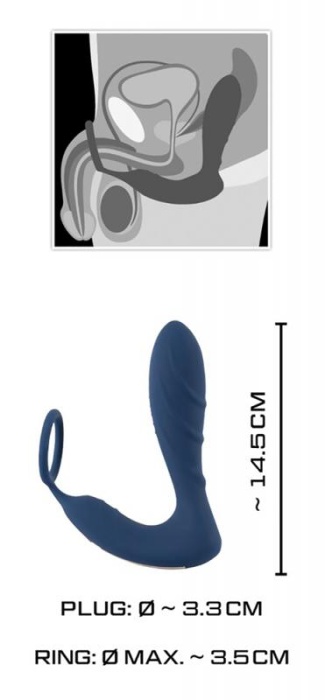 You2Toys Vibrating Prostate Plug with Cock Ring