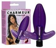 Charmeur Analvibe Lila Charmeur Analvibe Lila