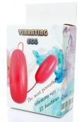 Vibrating EGG 12 functions