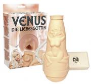 You2Toys Venus - masturbátor
