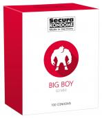 Secura Big Boy 60mm 100ks Secura Big Boy 60mm 100ks