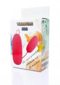 Vibrating EGG silicone 12 functions Vibrating EGG silicone 12 functions