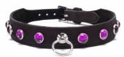 Octane crystal collar - Hot Pink Octane crystal collar - Hot Pink