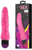 Woman's Secret Vibrator Woman's Secret Vibrator