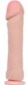 The Big Penis Realistic Dildo Flesh 26 Cm The Big Penis Realistic Dildo Flesh 26 Cm
