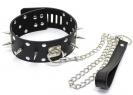 Leather Collar with leash