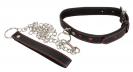 Bad Kitty Collar and Leash