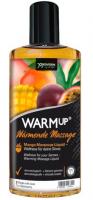 Joydivision Präparate WARMup Mango plus Maracuya 150 ml