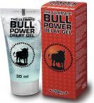 Cobeco Pharma Bull Power Delay Gel gel k oddálení ejakulace