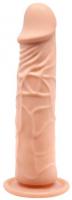 Baile Barbara Calvin 7,8 ", realistické dildo s přísavkou 20 x 4 cm