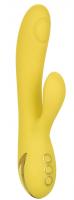 CALIFORNIA EXOTICS CALEX SAN DIEGO SEDUCTION