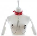 Leather Collar With Nipple Clamps Red